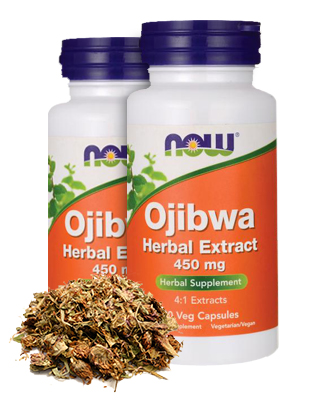 Ojibwa